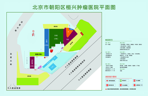 操逼逼电影网站大全北京市朝阳区桓兴肿瘤医院平面图